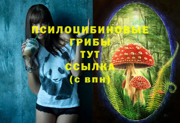скорость Аркадак